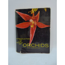 Introduction to the world of orchids