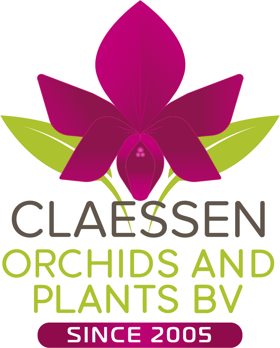 orchideeen shop logo